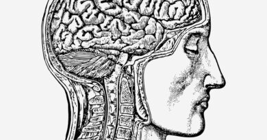 Anatomical brain man hand drawn
